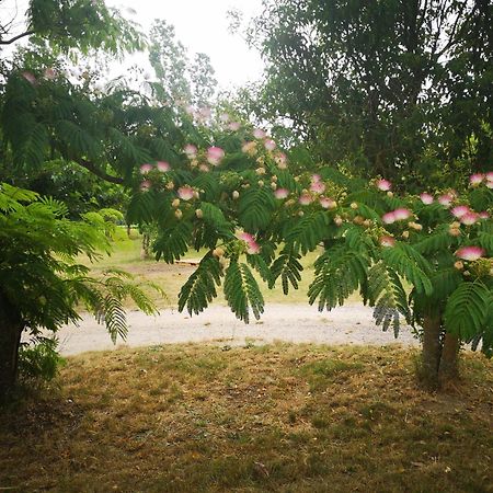 ホテル Mado Verfeuil エクステリア 写真